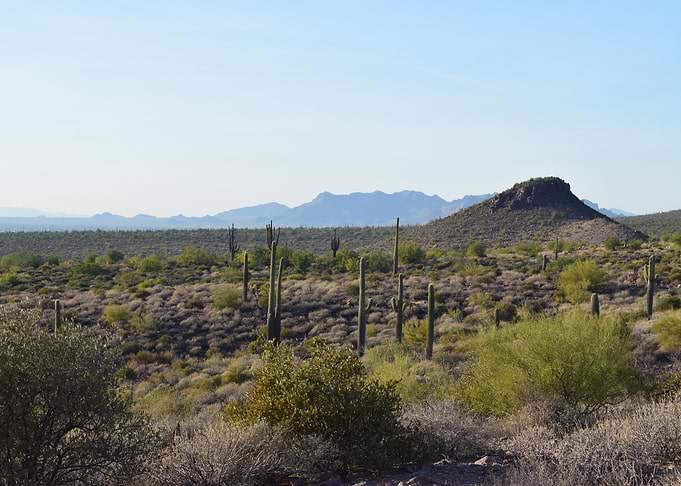 Hieroglyphic Trail Mnt 02