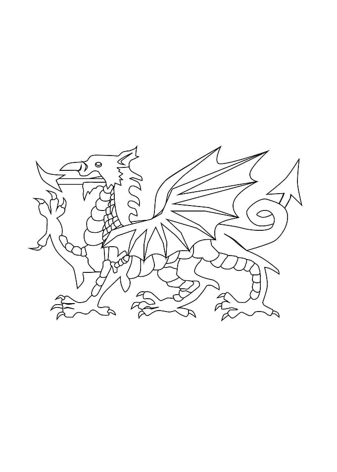 Welsh Dragon Outline