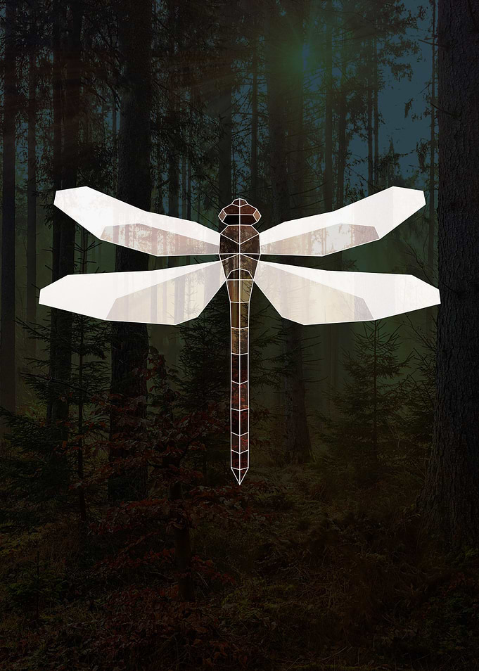 Geometric Dragonfly