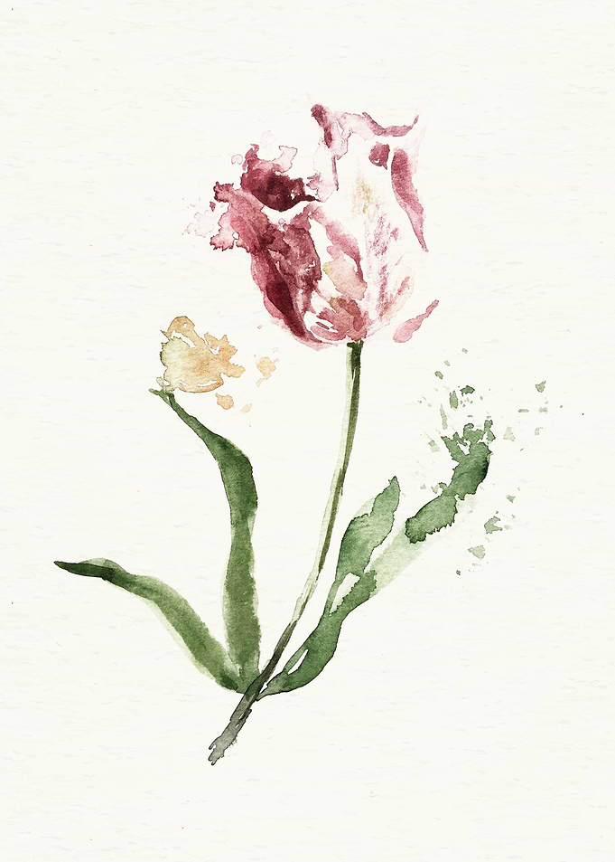Botanical