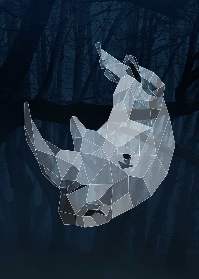 Geometric Rhino