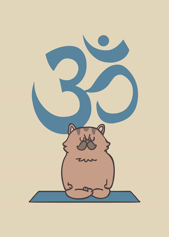 Om Persian Cat