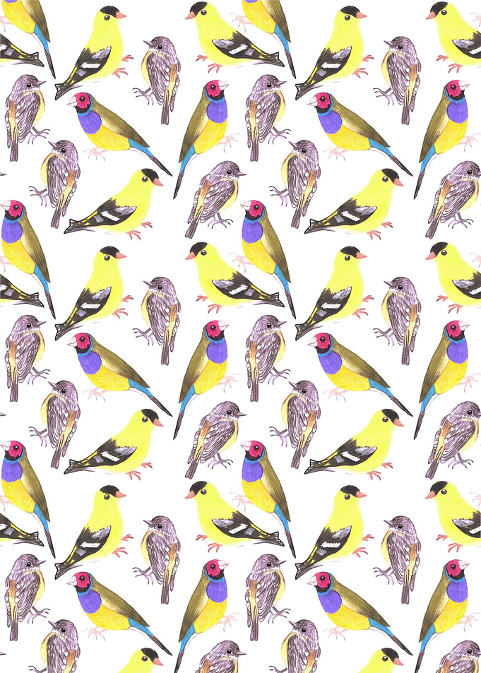 Yellow birds watercolor