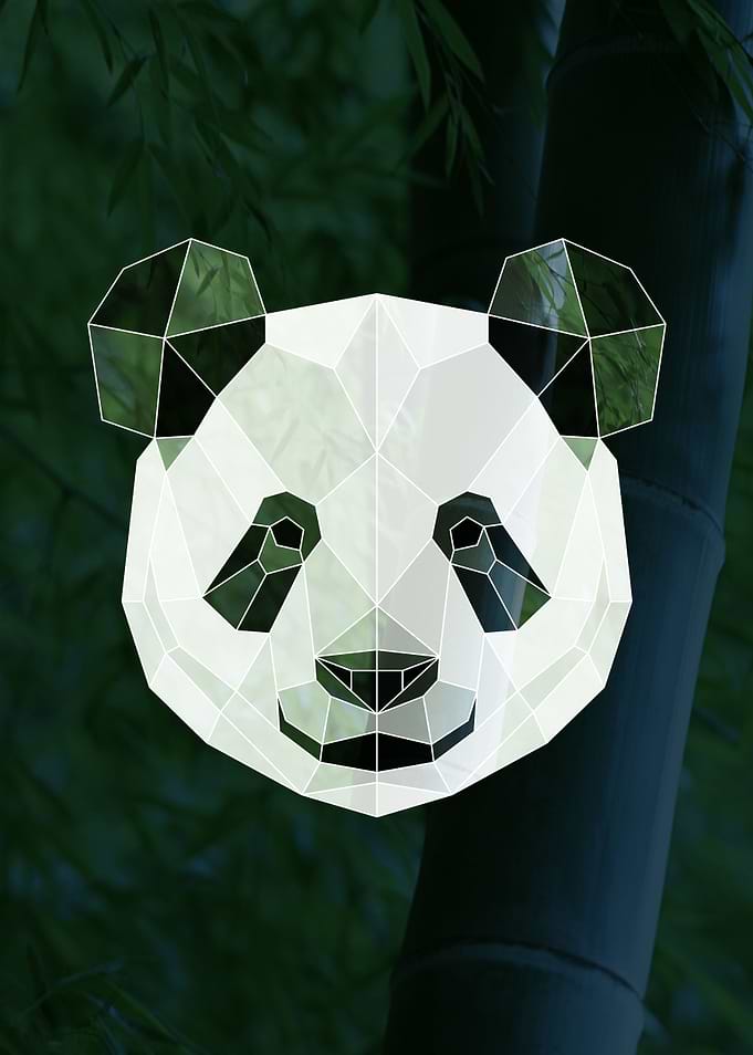 Geometric Panda