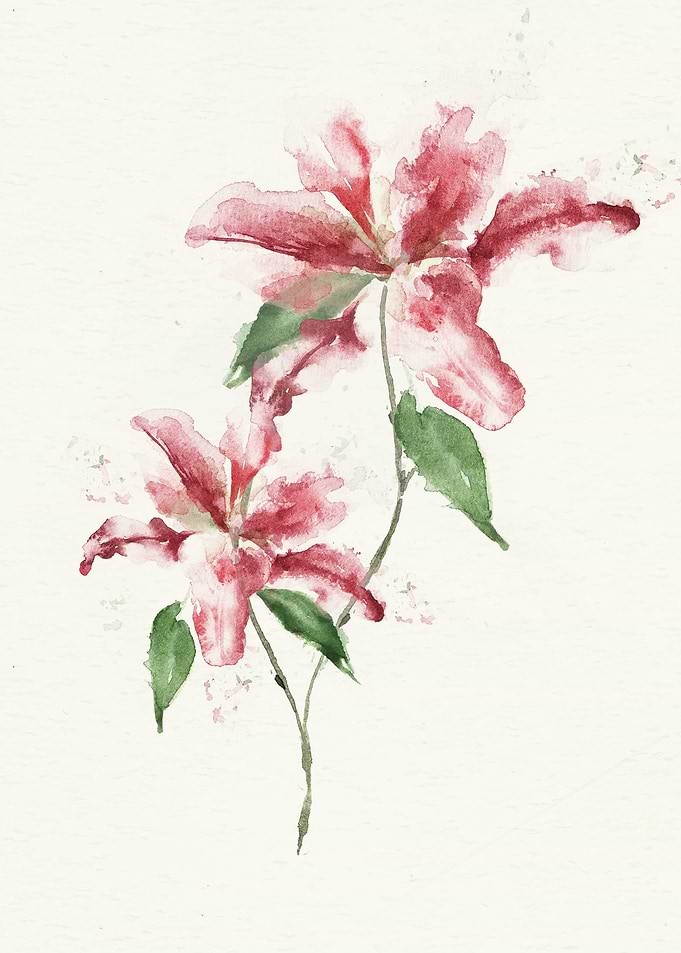 Botanical