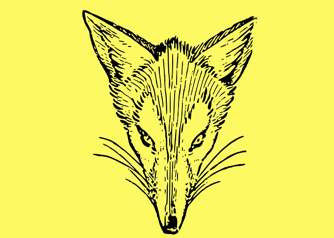 cute fox drawing