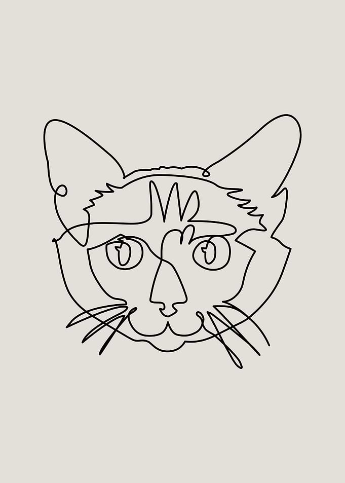 One line Siamese Cat