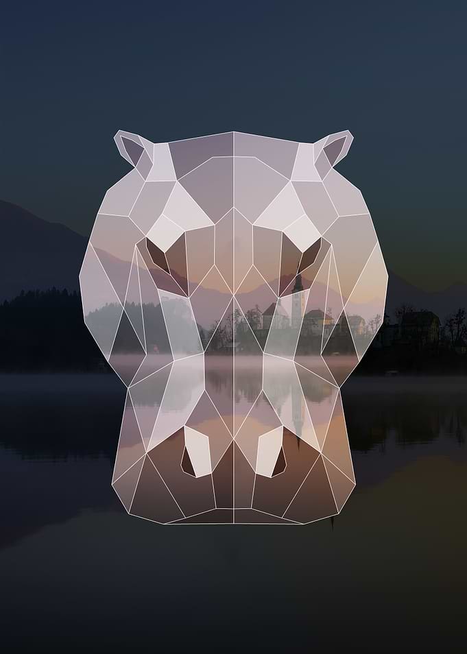 Geometric Hippo
