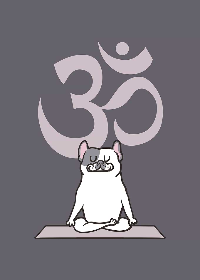 Om French Bulldog
