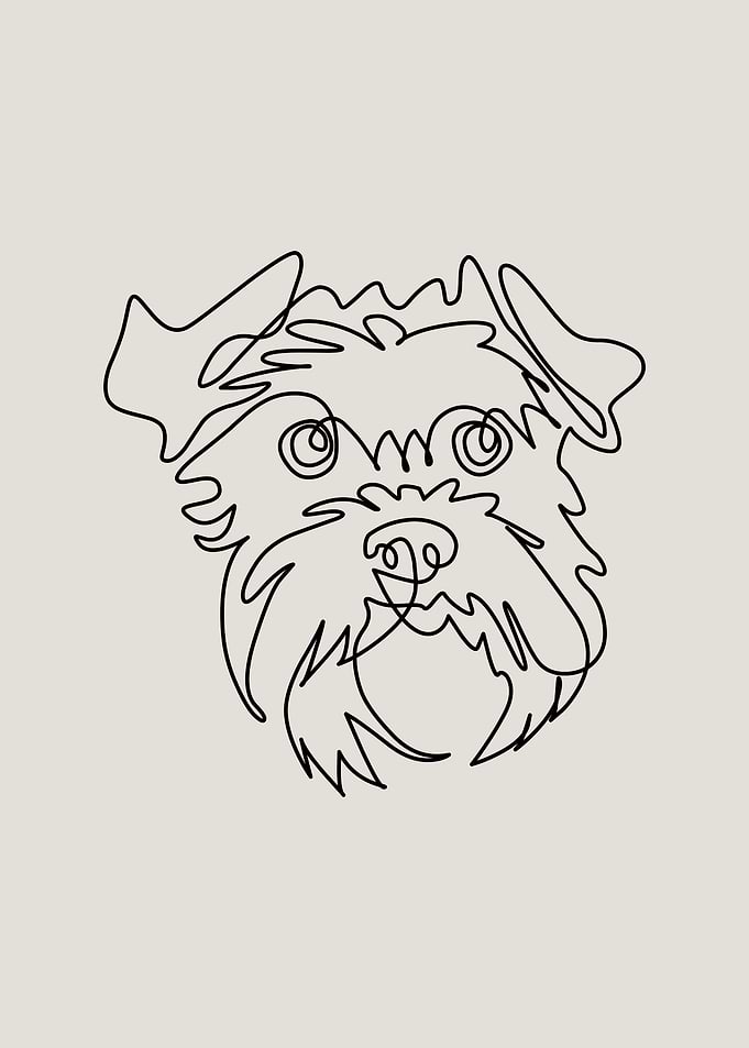 One line Schnauzer