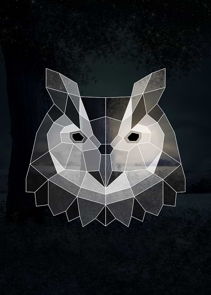 Geometric Owl