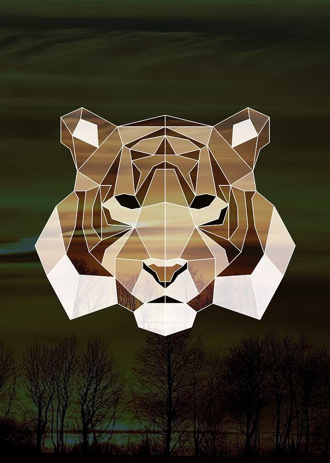 Geometric Tiger