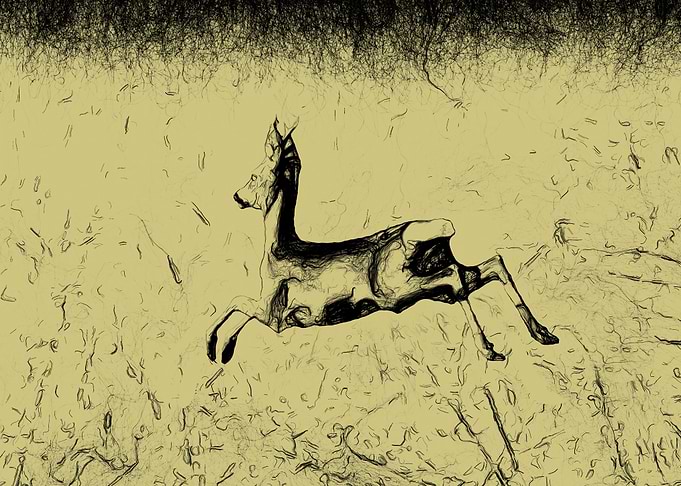 Jumping roebuck