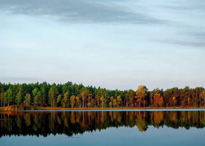 Lake reflection