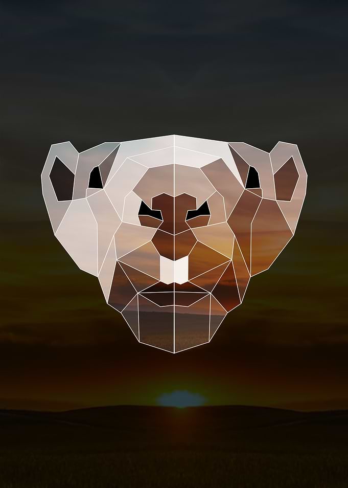 Geometric Groundhog