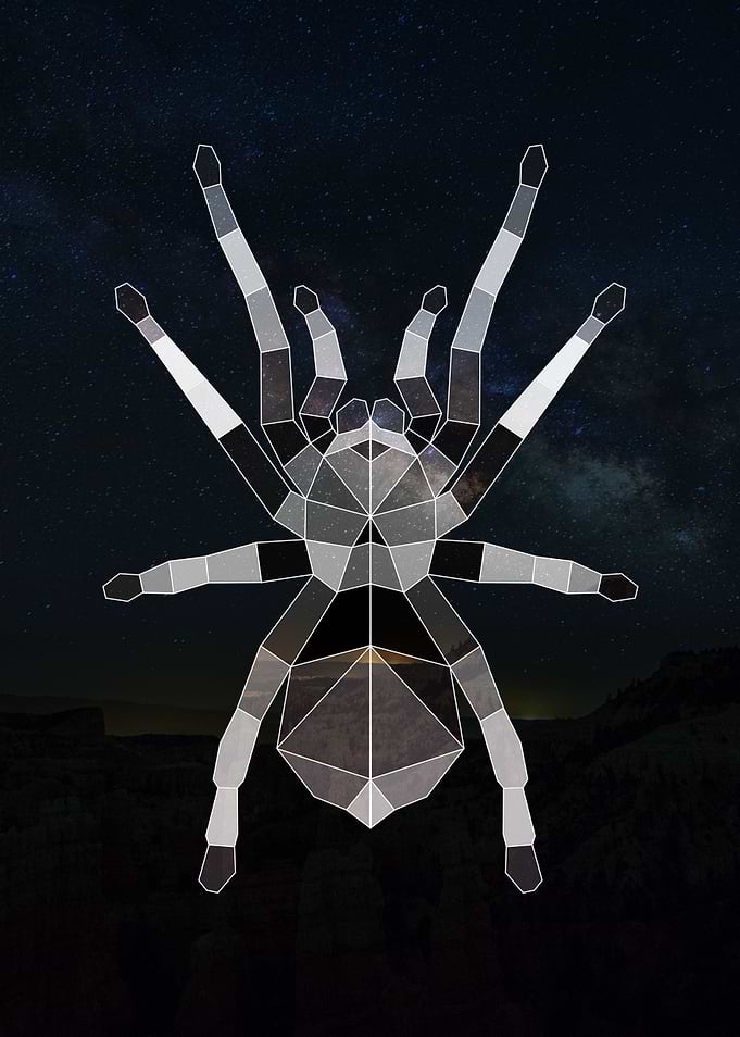 Geometric Spider
