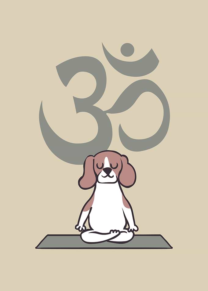 Om Beagle
