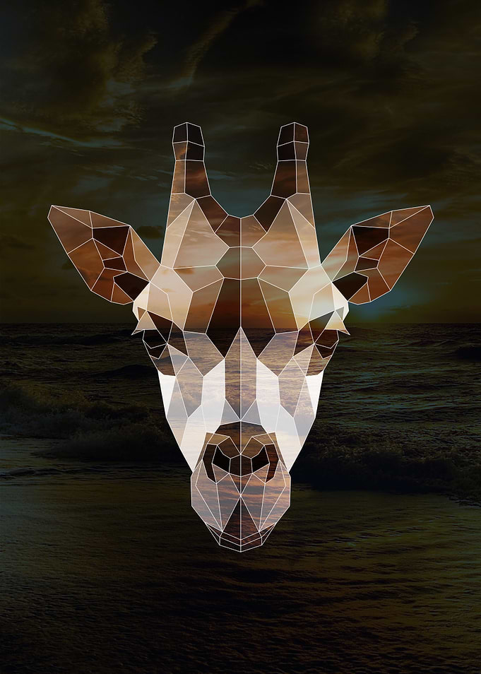 Geometric Giraffe