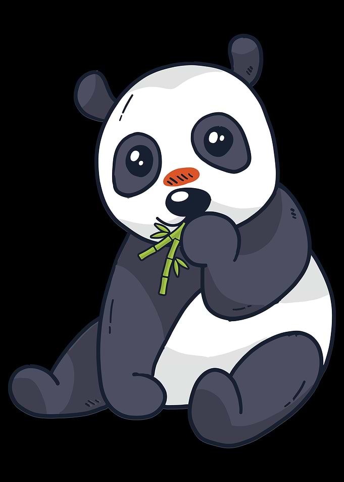 Portrait from a Panda