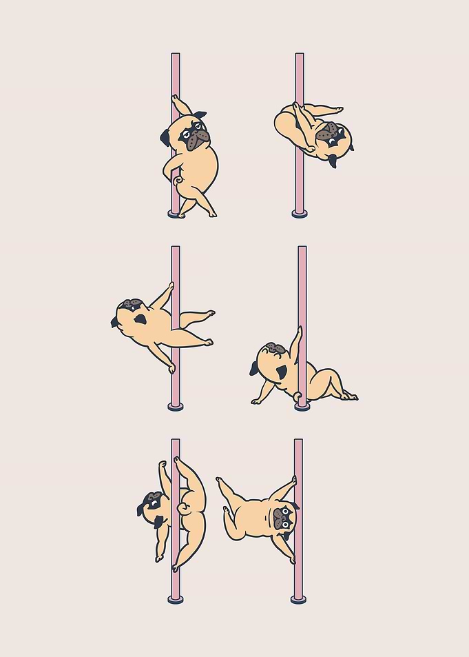 Pugs Pole Dancing Club