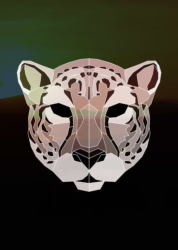 Geometric Cheetah