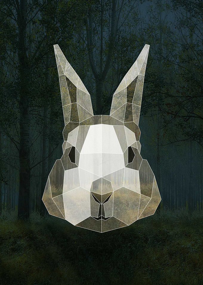 Geometric Bunny