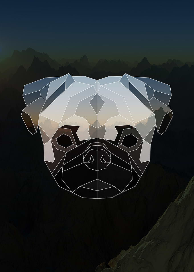 Geometric Pug