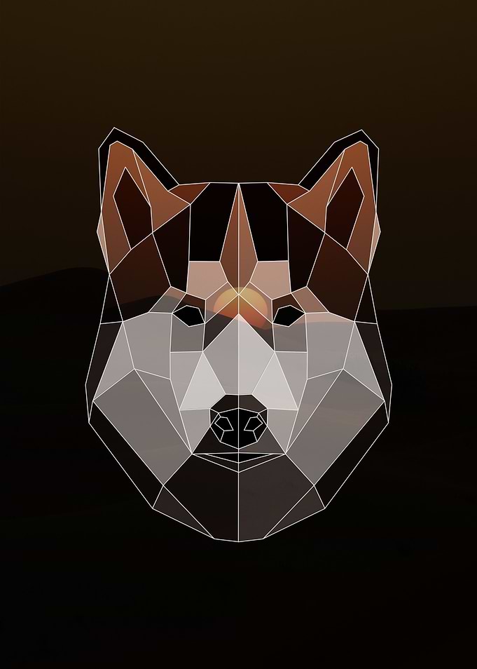 Geometric Husky