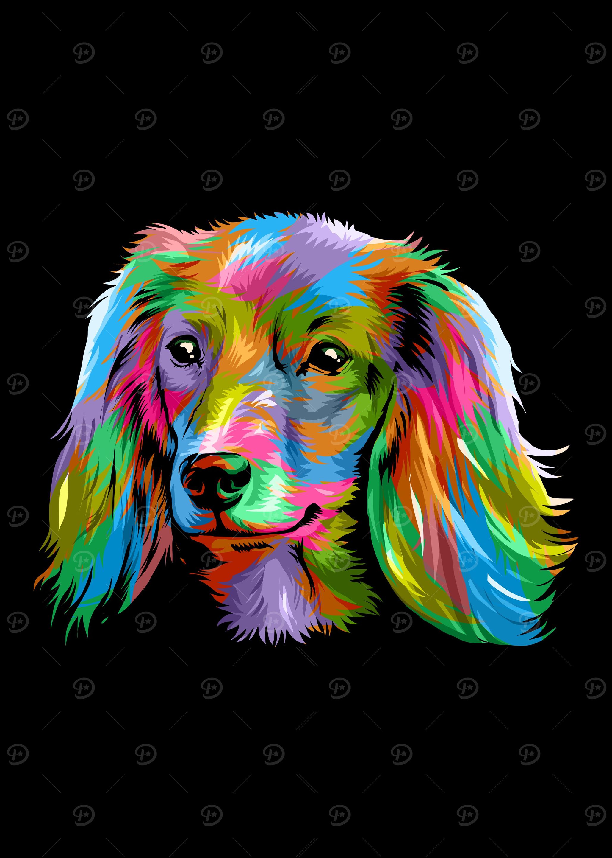 Rainbow color Dachshund