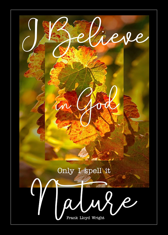 I Believe in Nature
