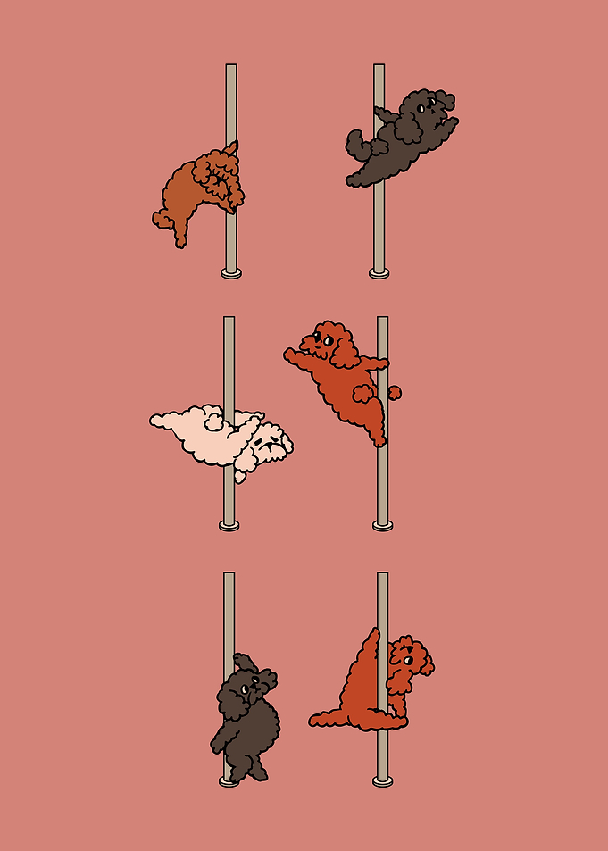 Poodle Pole Dancing Club