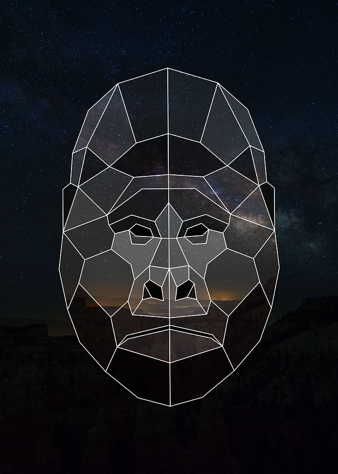 Geometric Gorilla