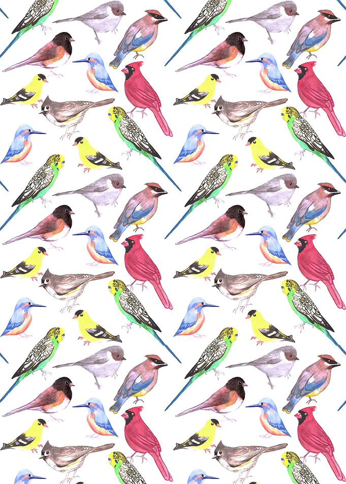 Various birds watercolor