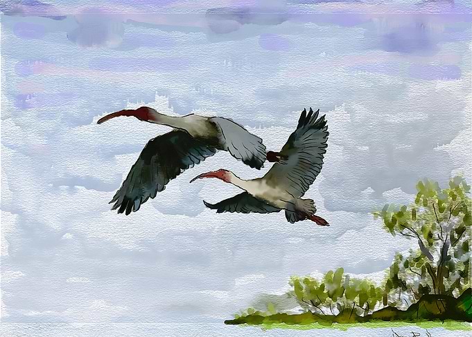 Fly Away