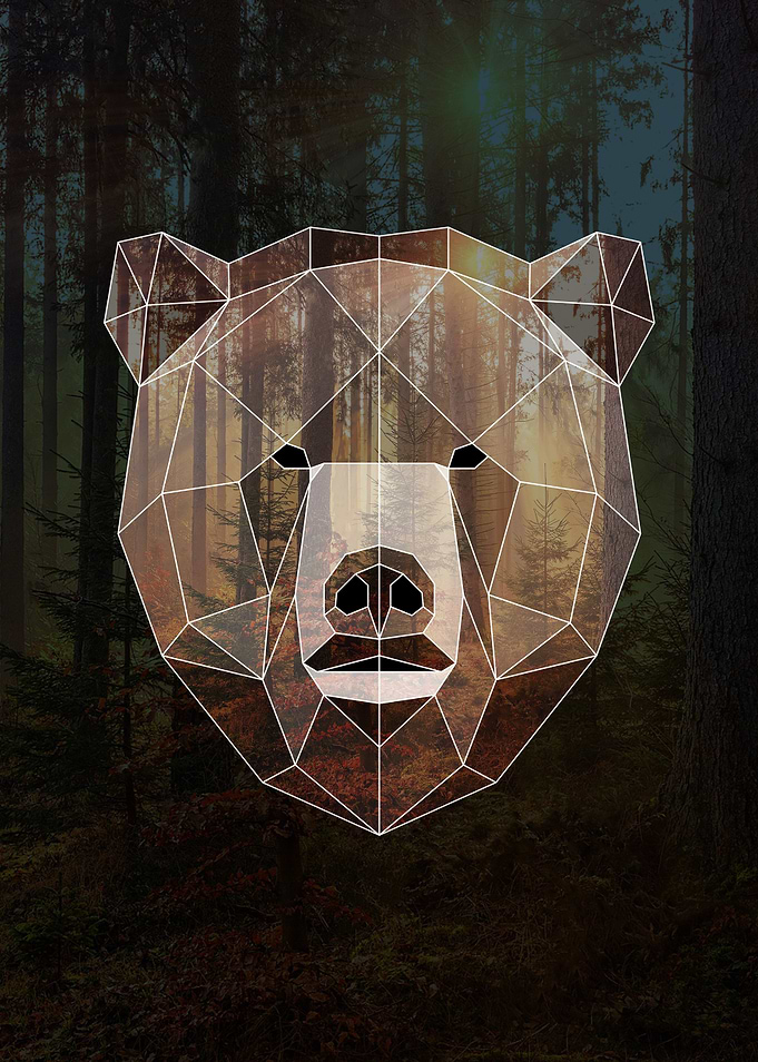 Geometric Bear