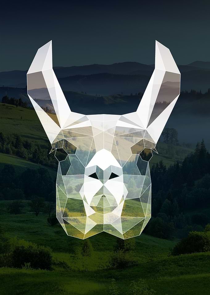 Geometric Llama