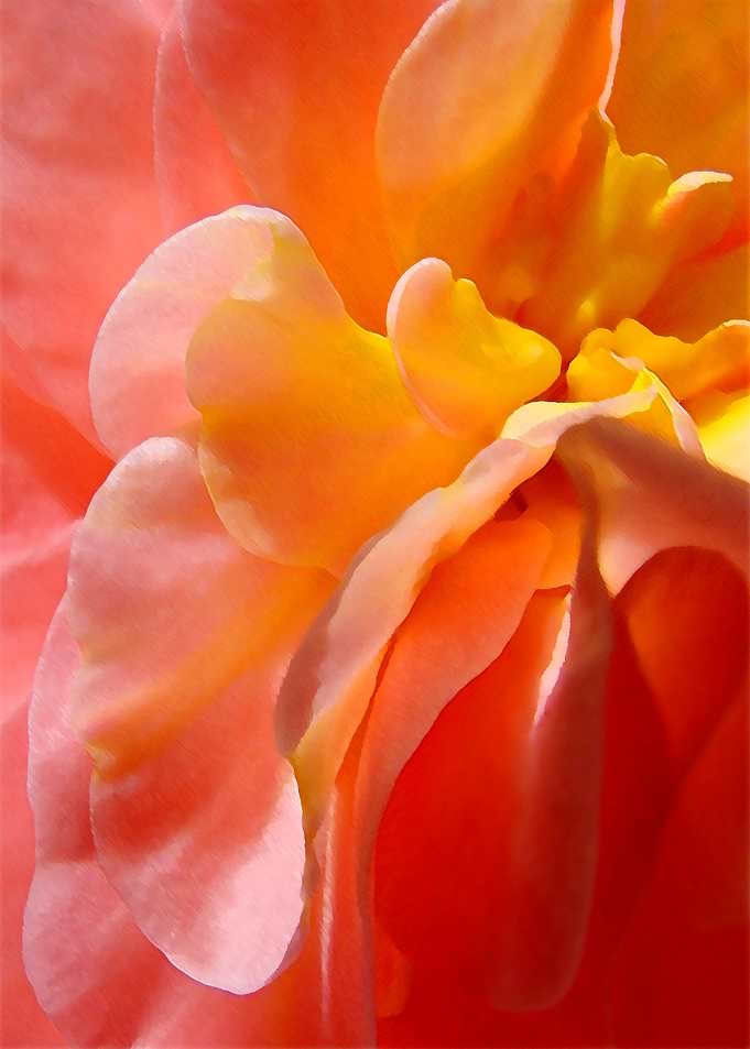 Peach Parfait