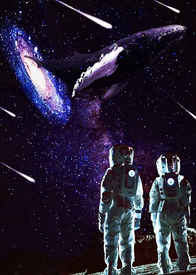 a whale out of a galaxy
