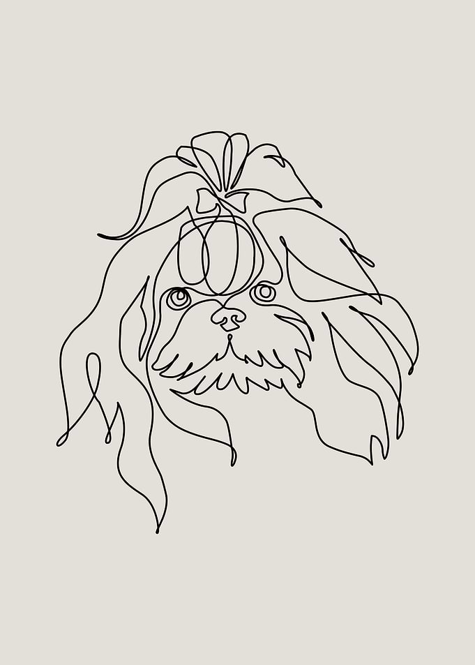 One line Shih Tzu