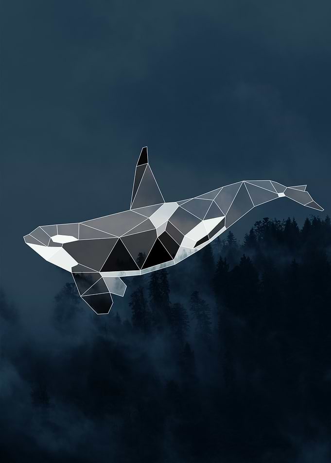 Geometric Orca