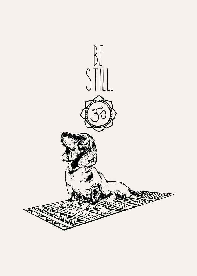 Dachshund Be Still