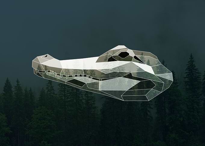 Geometric Crocodile