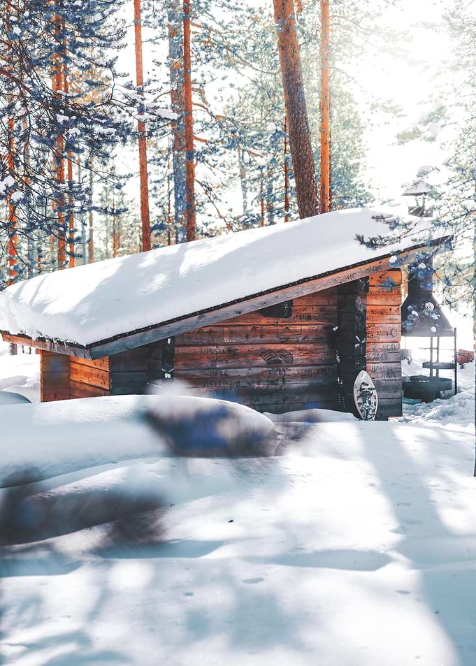 Cabin in the Woods