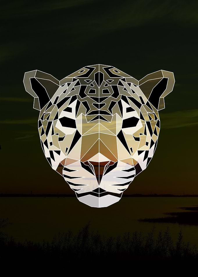 Geometric Jaguar
