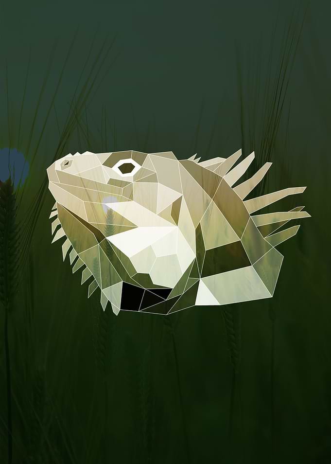 Geometric Iguana