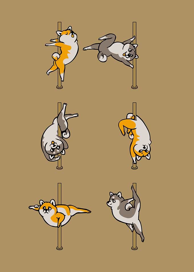 Shiba Inu Pole Dancing