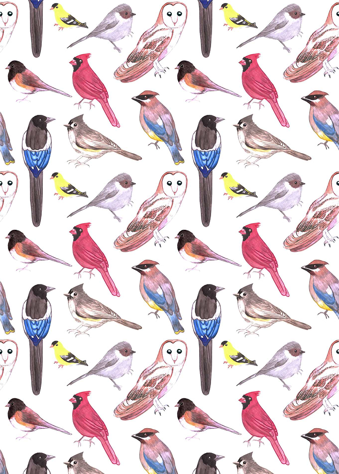 Wild birds watercolor