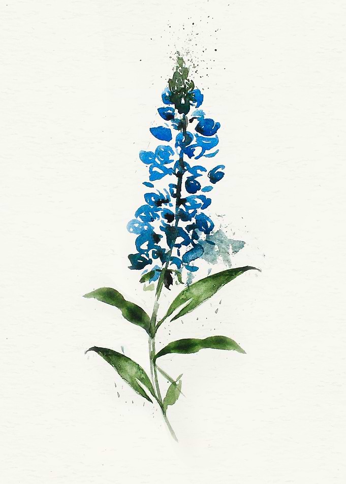 Botanical