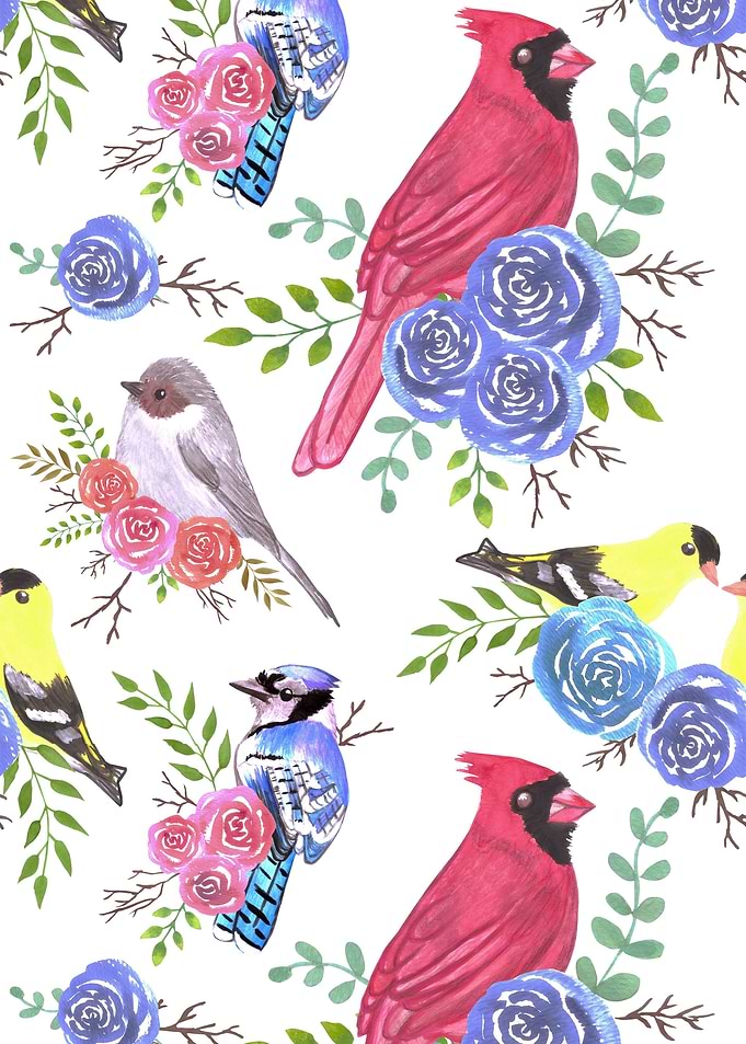Cardinals bushtits blue