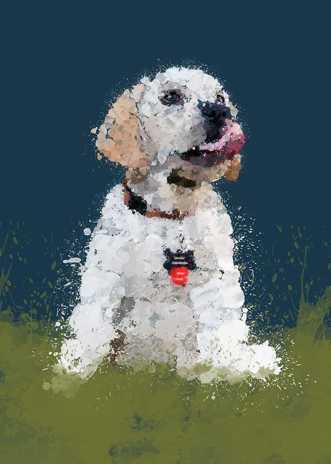 Little pupper